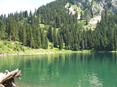 summer_02